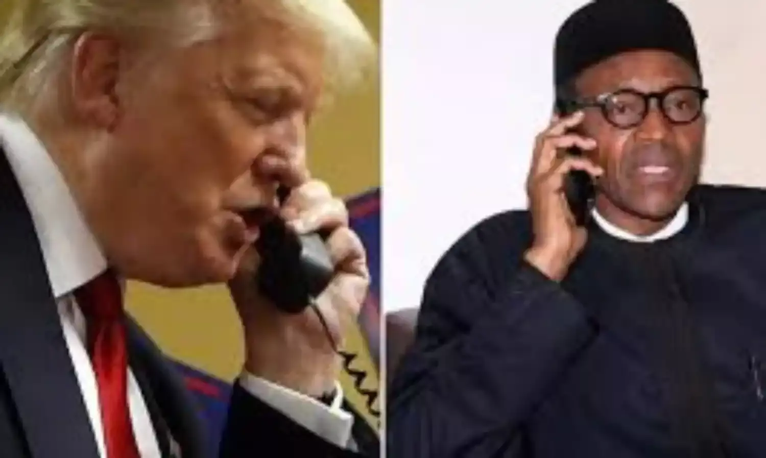 Buhari, Trump commiserate with each other on fatalities caused by COVID-19