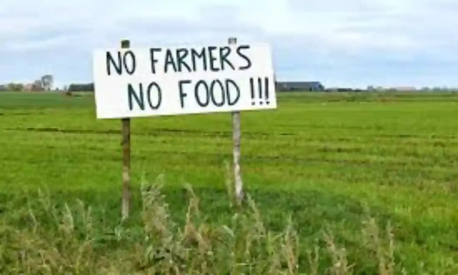 COVID-19: Farmers want special intervention to avert food shortage