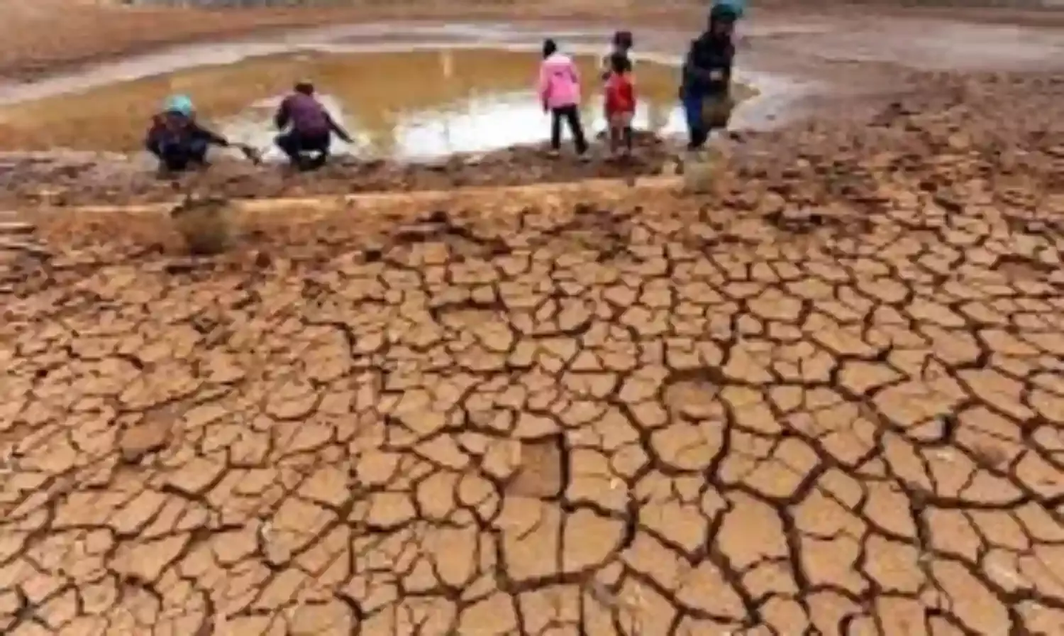 Southern African Country, Namibia experiencing worst drought in 90 years – Parliament Speaker says