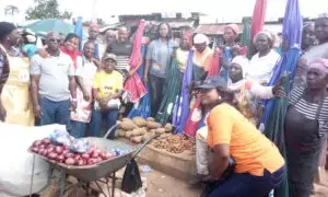 Rotary Club of Jos donates umbrellas for stall, aprons to traders in Plateau market