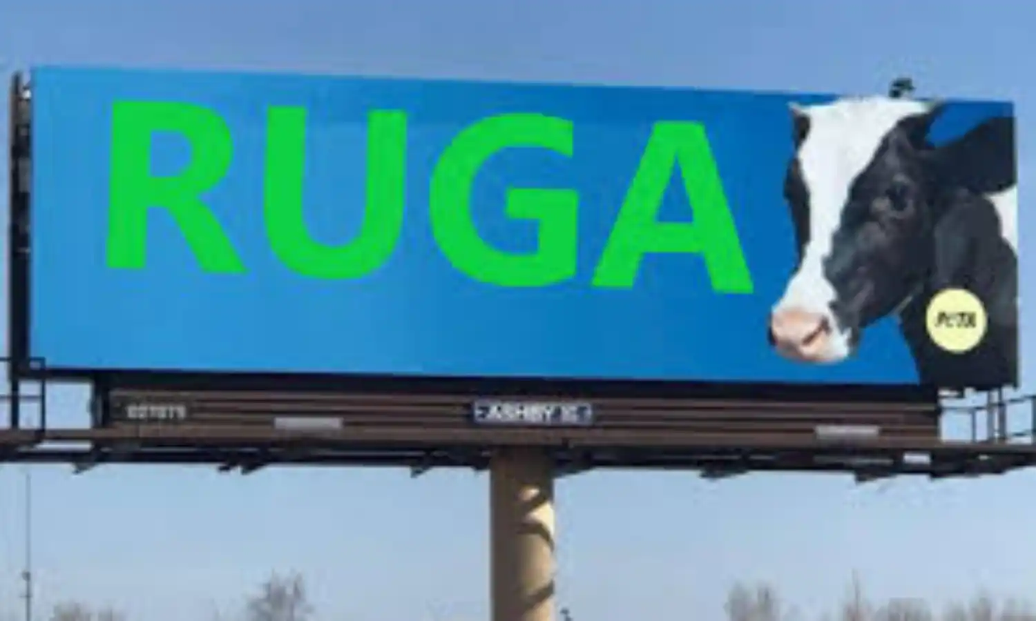 RUGA: FGS policy will boost VCD in livestock sector – AFAN