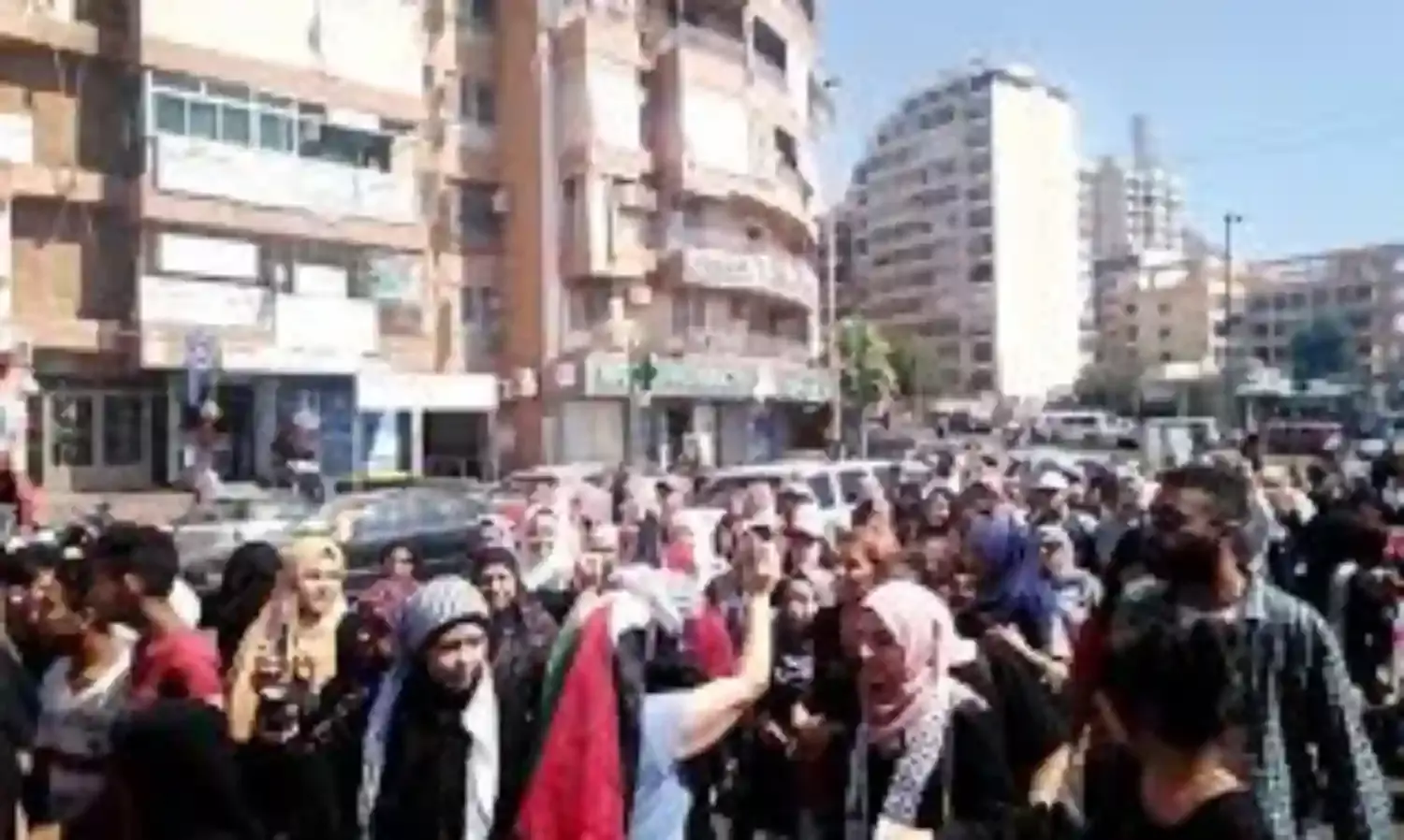 Palestinian refugees in Lebanon seeks humanitarian asylum in Canada