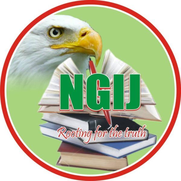 NGIJ calls for sanctions on South African businesses in Nigeria over Xenophobia