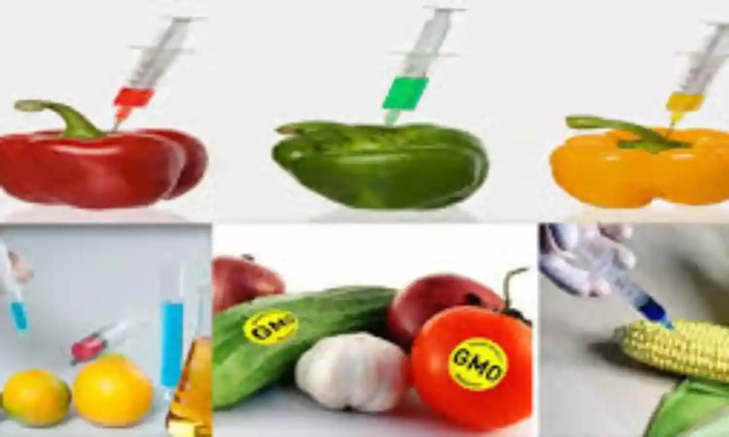 Genetically modified foods highly scrutinised for safety-NGO