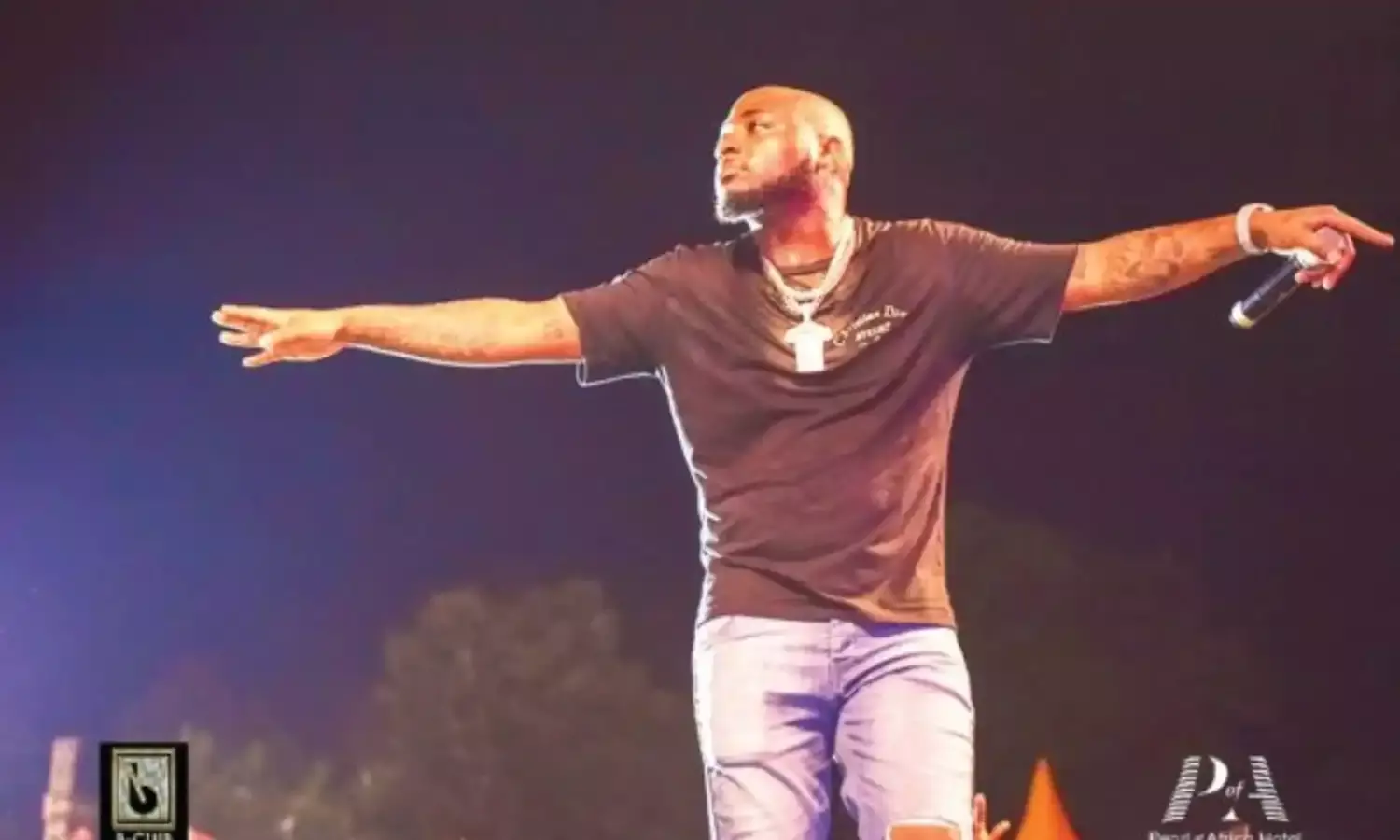 Davido features in new video ‘Next To You II’