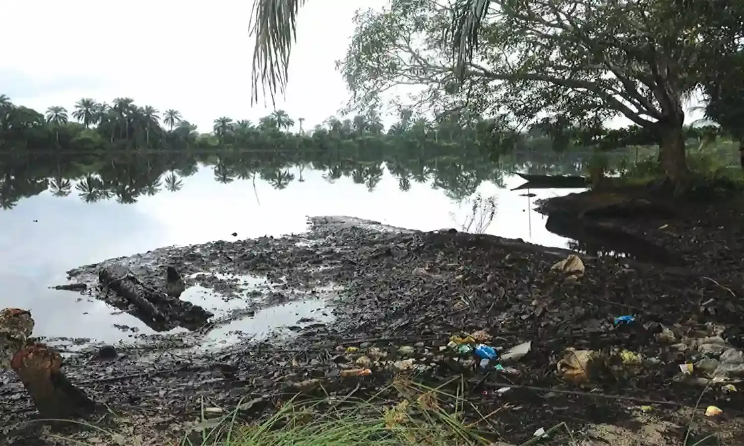 Ogoni clean-up: Stakeholders advocate holistic approach to process