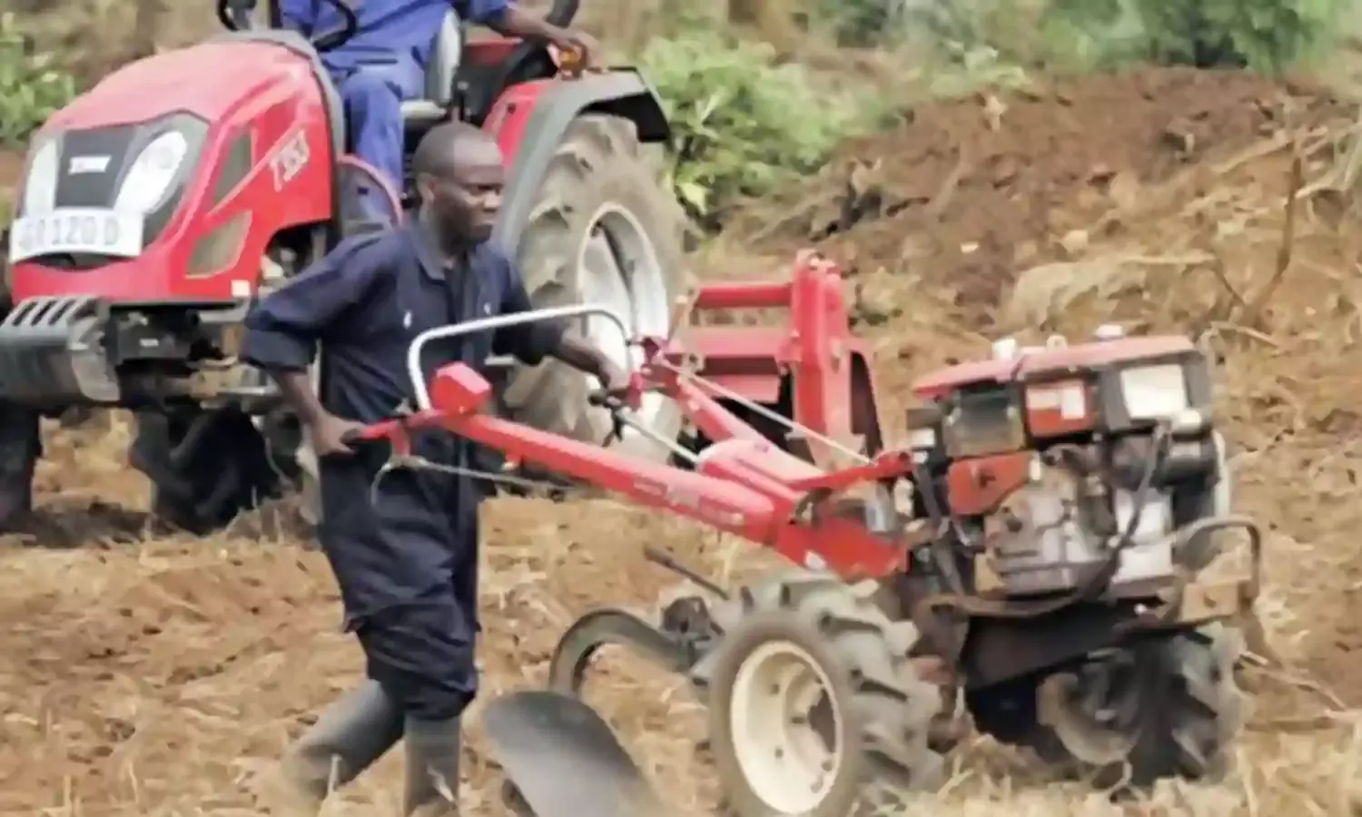 Rivers ALFAN secures 1000 hectares of land for maize cultivation – Chairman