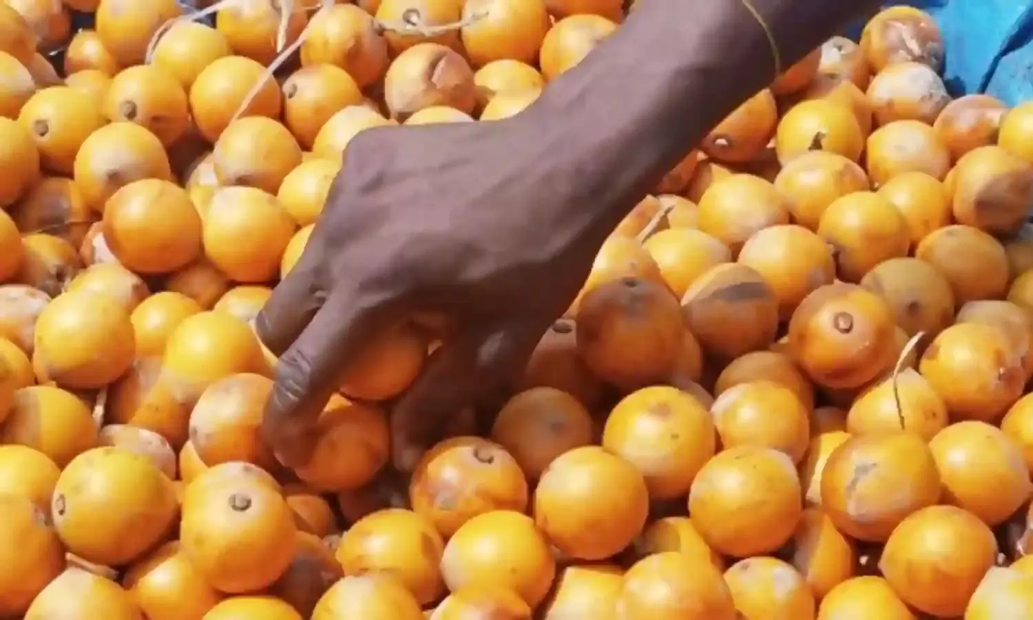 Consumption of fruits, vegetables can prevent cancer — Expert