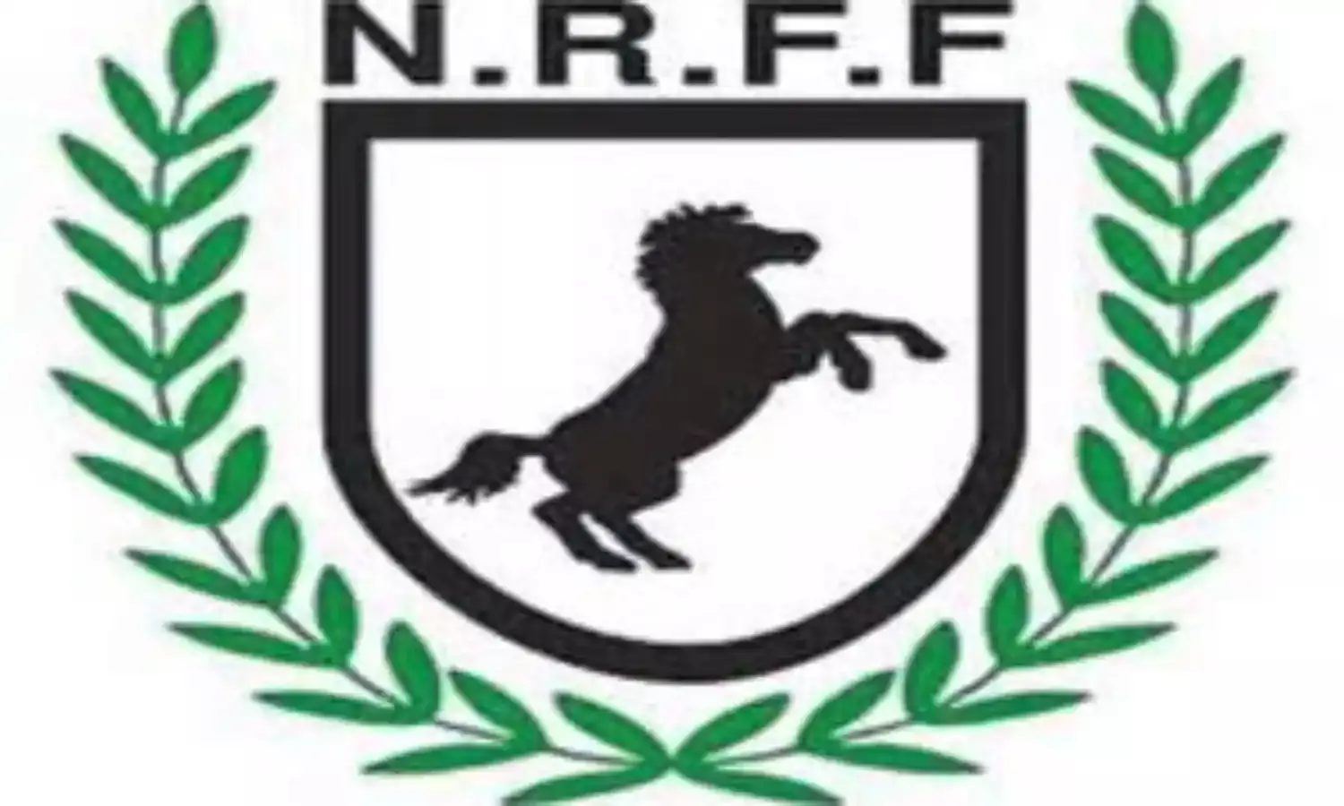 Nigeria Rugby Football Federation to change name in June