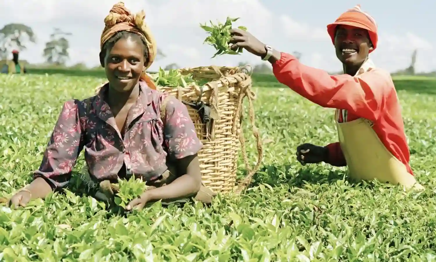 Agriculturists identify challenges of agribusiness in Nigeria