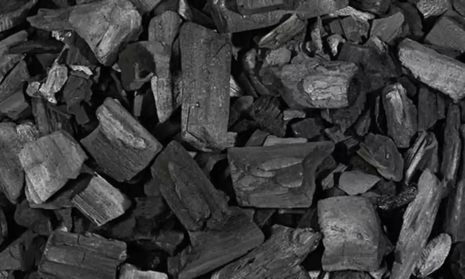 Charcoal can treat ulcer, lower cholesterol, poison extraction -expert