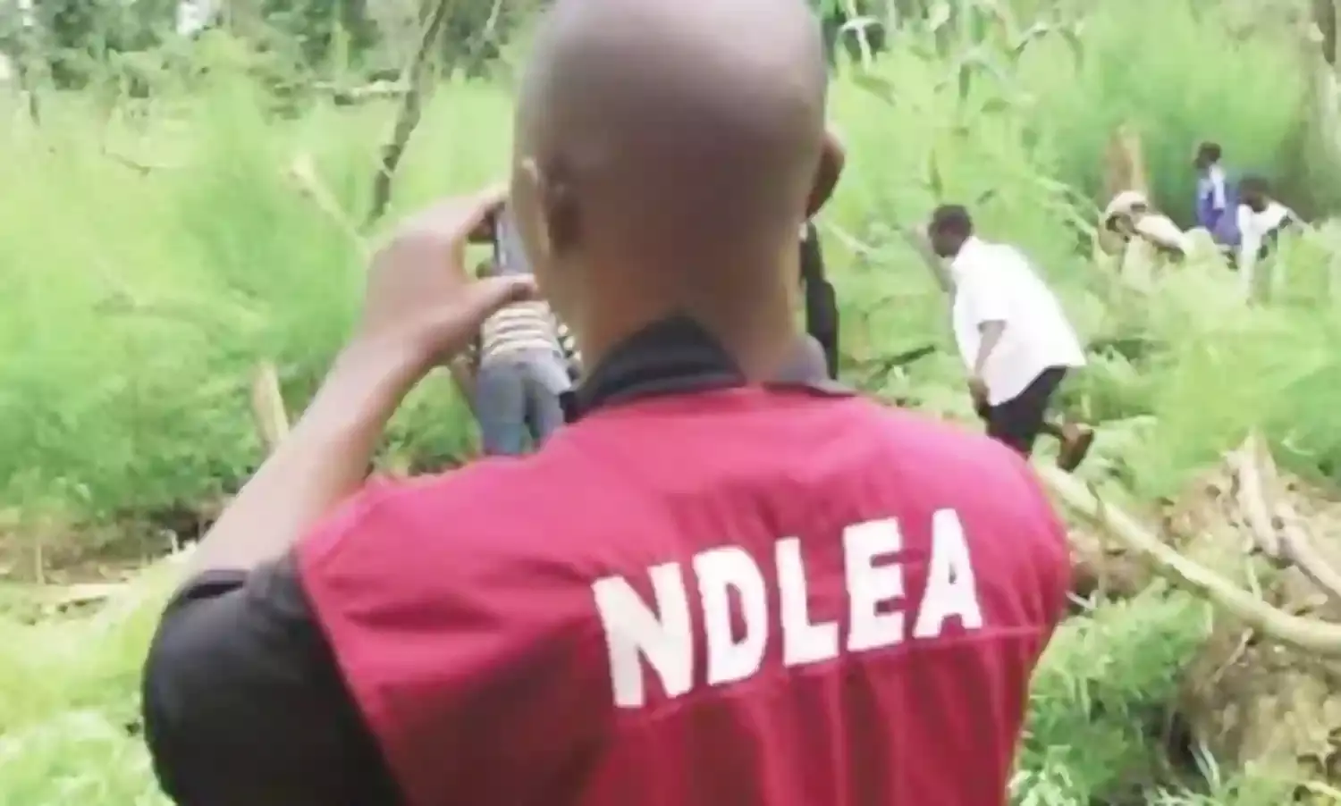 NDLEA uncovers illegal hard drug laboratory