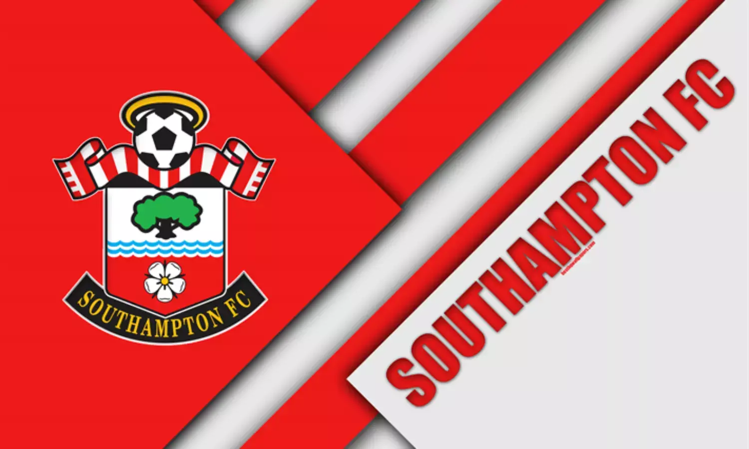 Southampton are showing their true potential, says Hasenhuettl