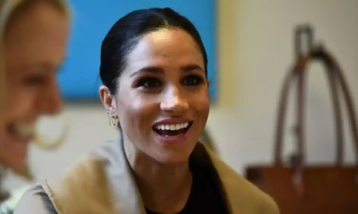 Meghan takes royal roles at UK charities for women, animal