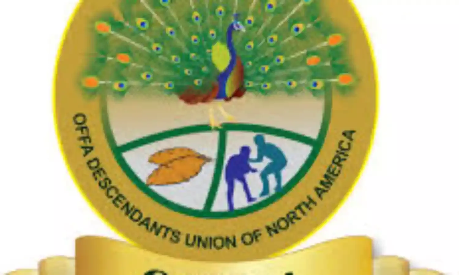 Group begins free medical outreach in Kwara