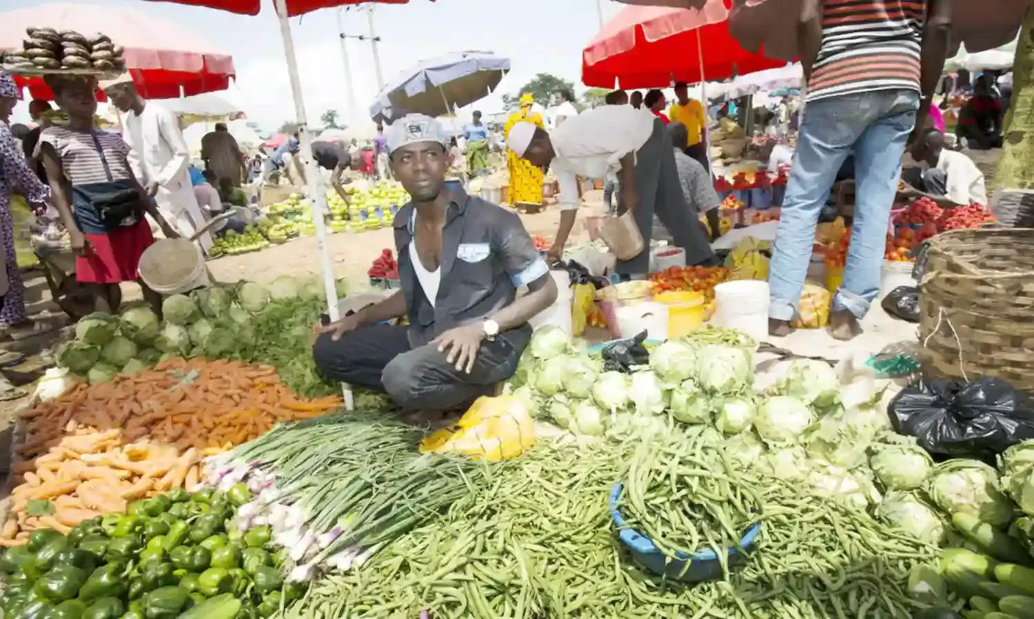 Expert alerts states, LGAs on use of detergents by fruit vendors