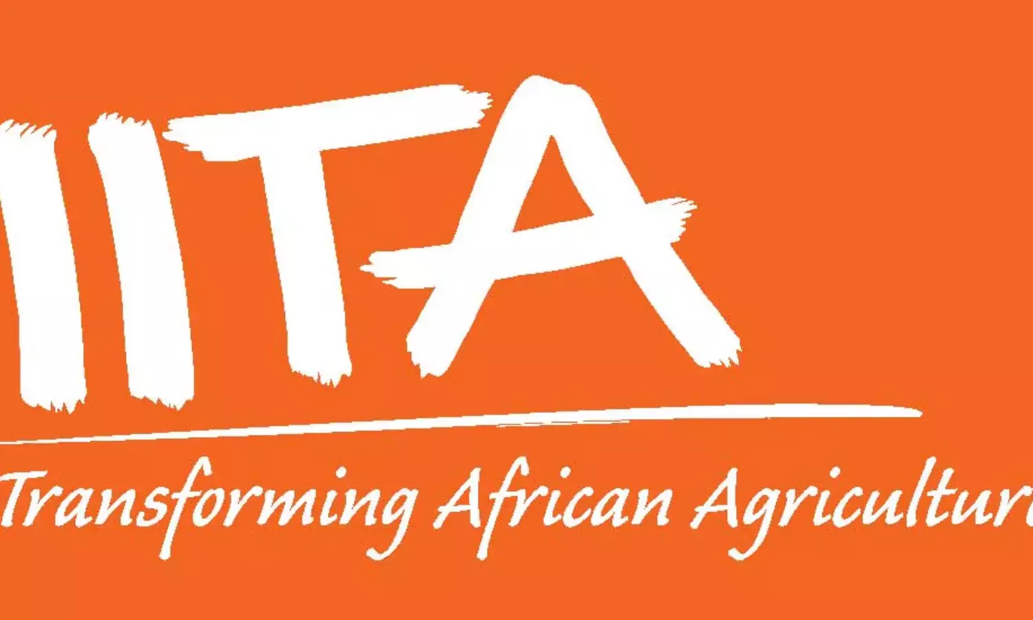 7.2 million Africans lifted out of poverty through IITA’s research innovations – DG