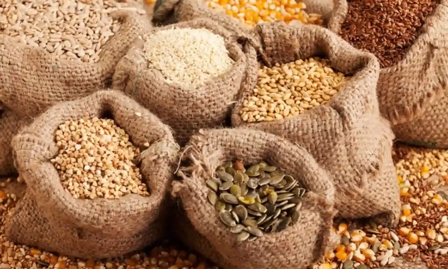 Seed industries want increased access to financing