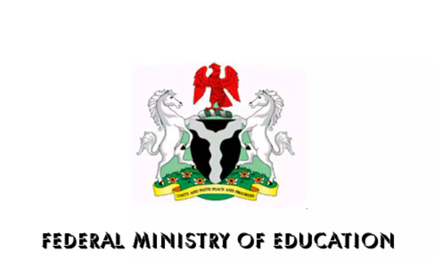 38 per cent of Nigerians can’t read, write — Prof. Haladu