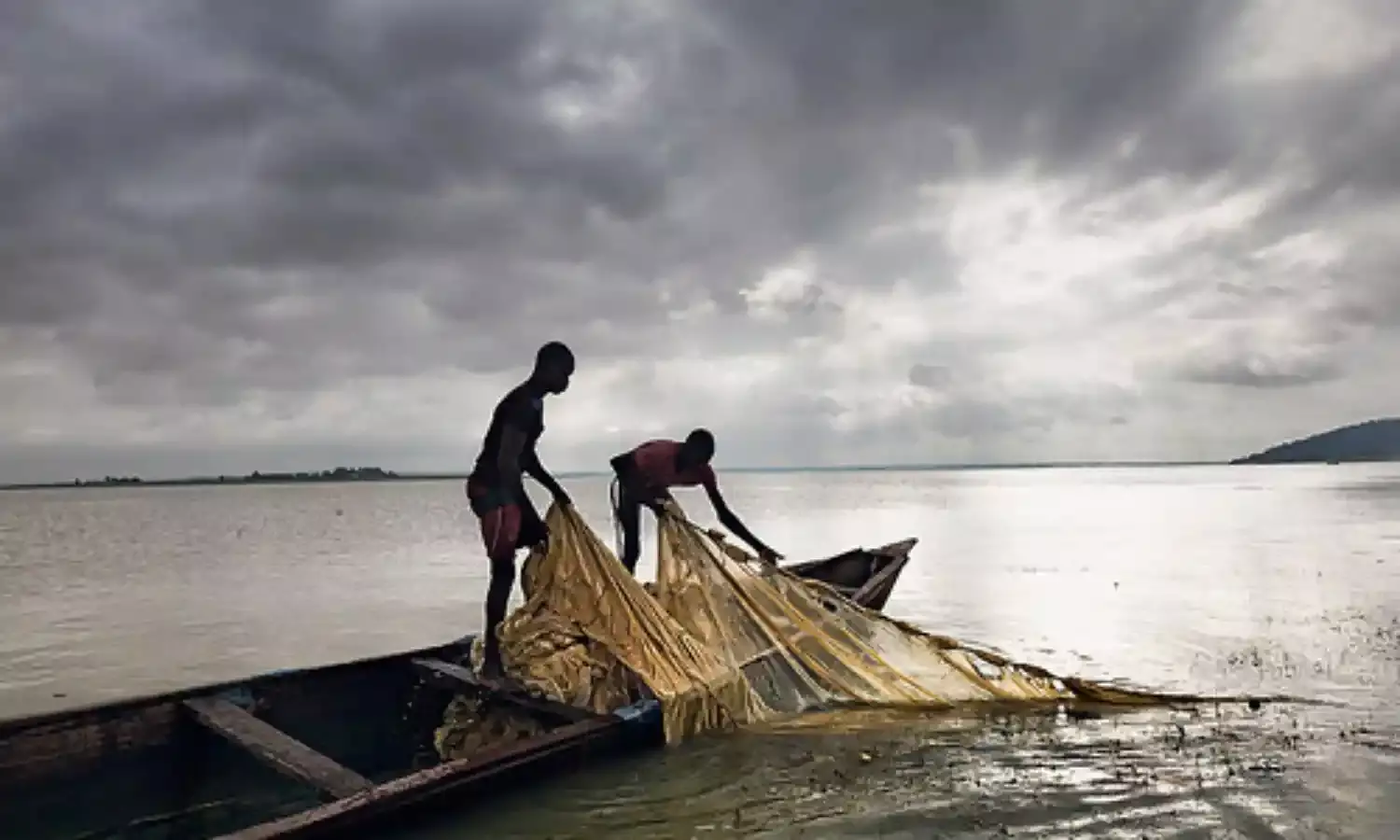 FG to assist fish farmers meet global demand – Ogbeh
