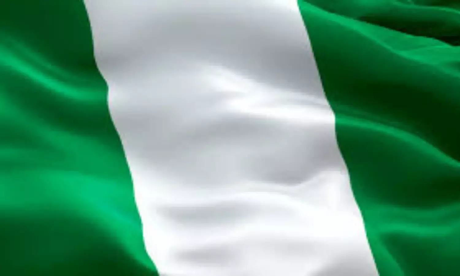 Rescue Nigeria Project to launch policies