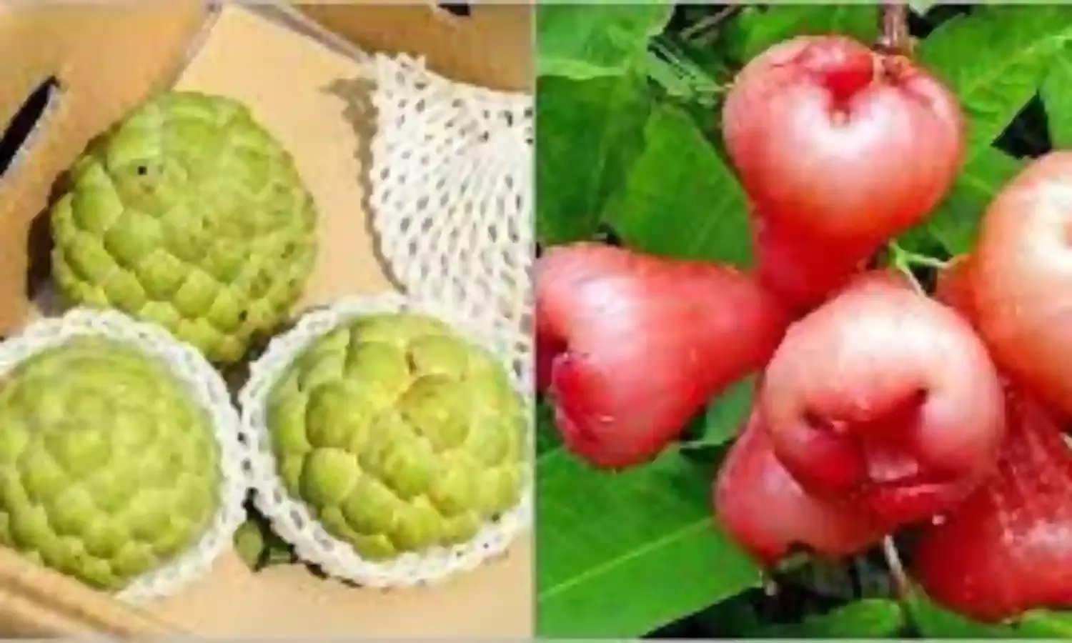 Taiwan threatens China over import ban