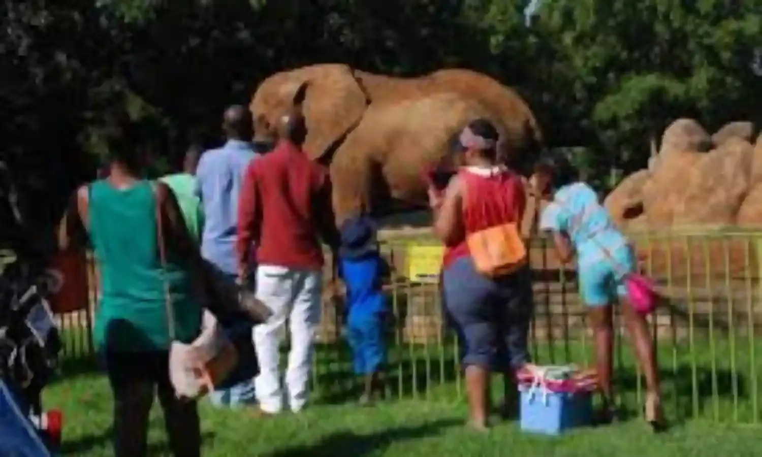 Why Nigerians don’t go to zoos again— Experts