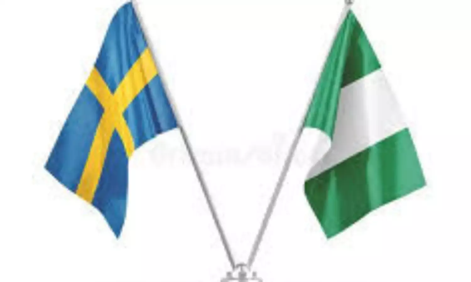 Swedish firm partners experts to boost digital literacy