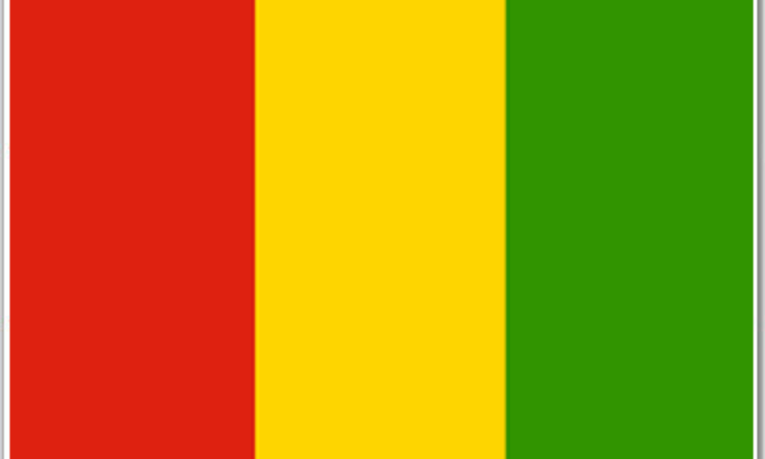 Guinean mining sector healthy despite the coronavirus pandemic