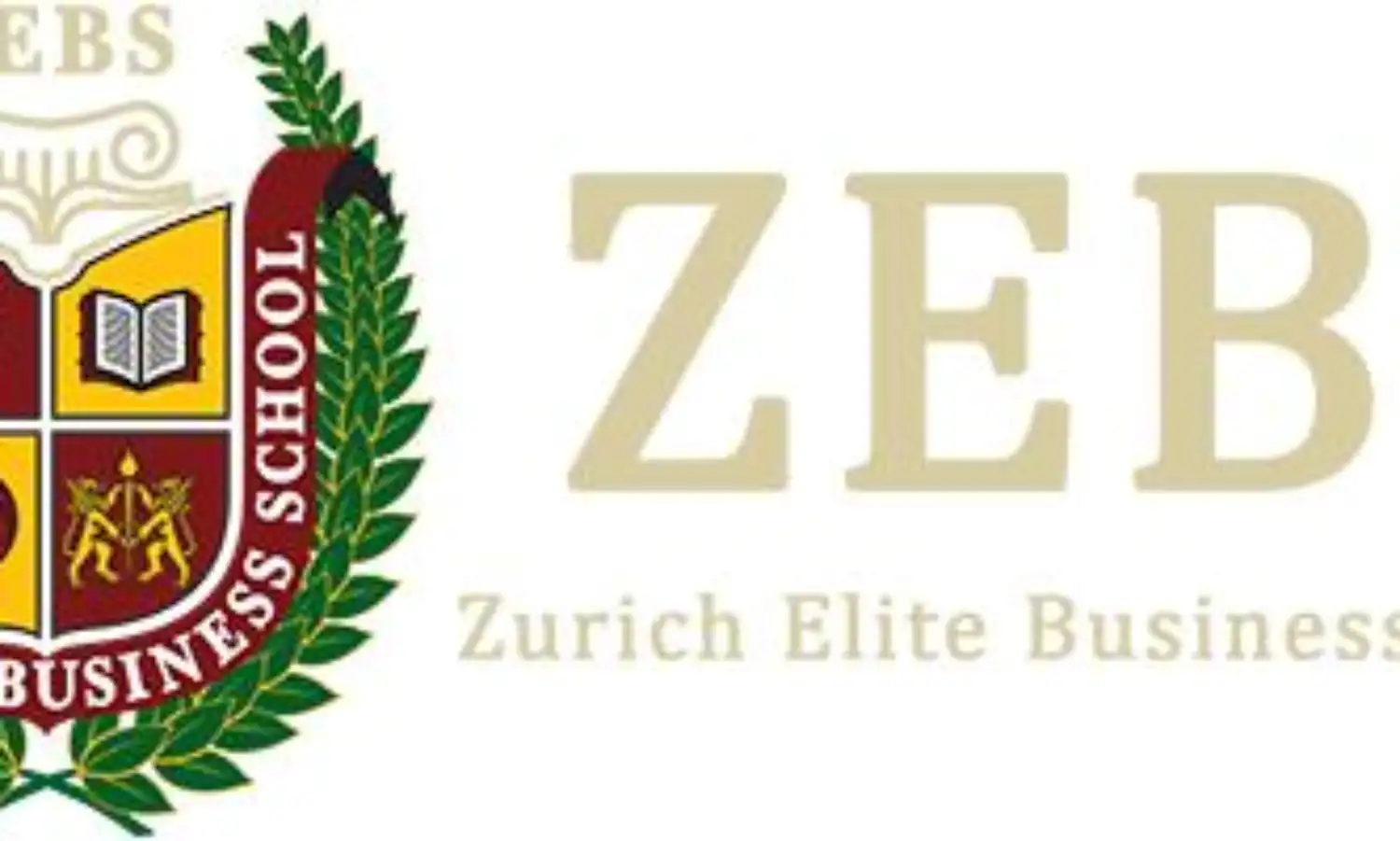 Incredible offer for an international MBA