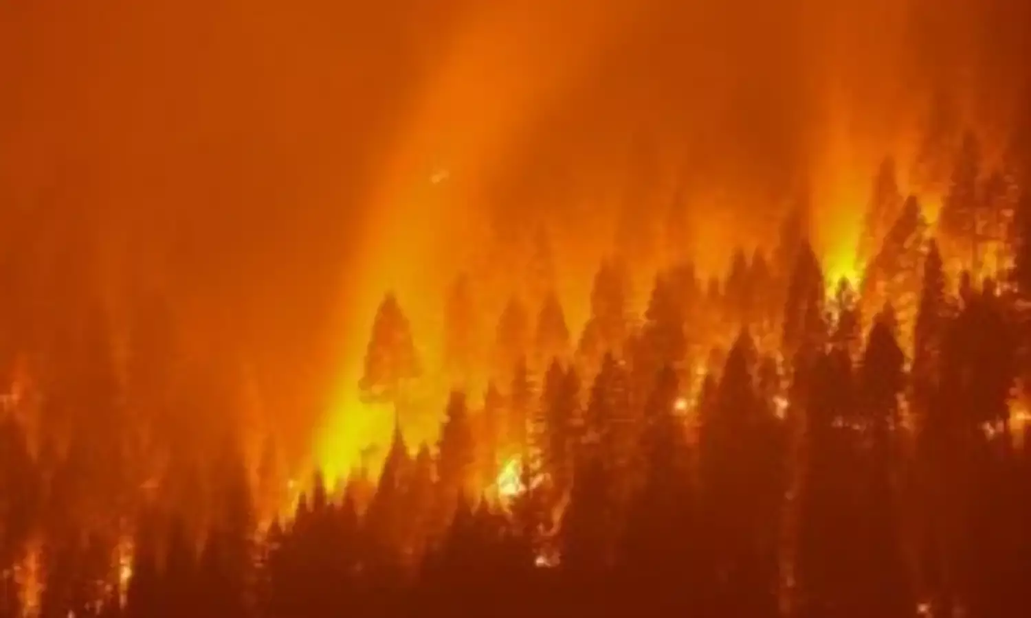 U.N. climate report likely to deliver severe global warming warnings