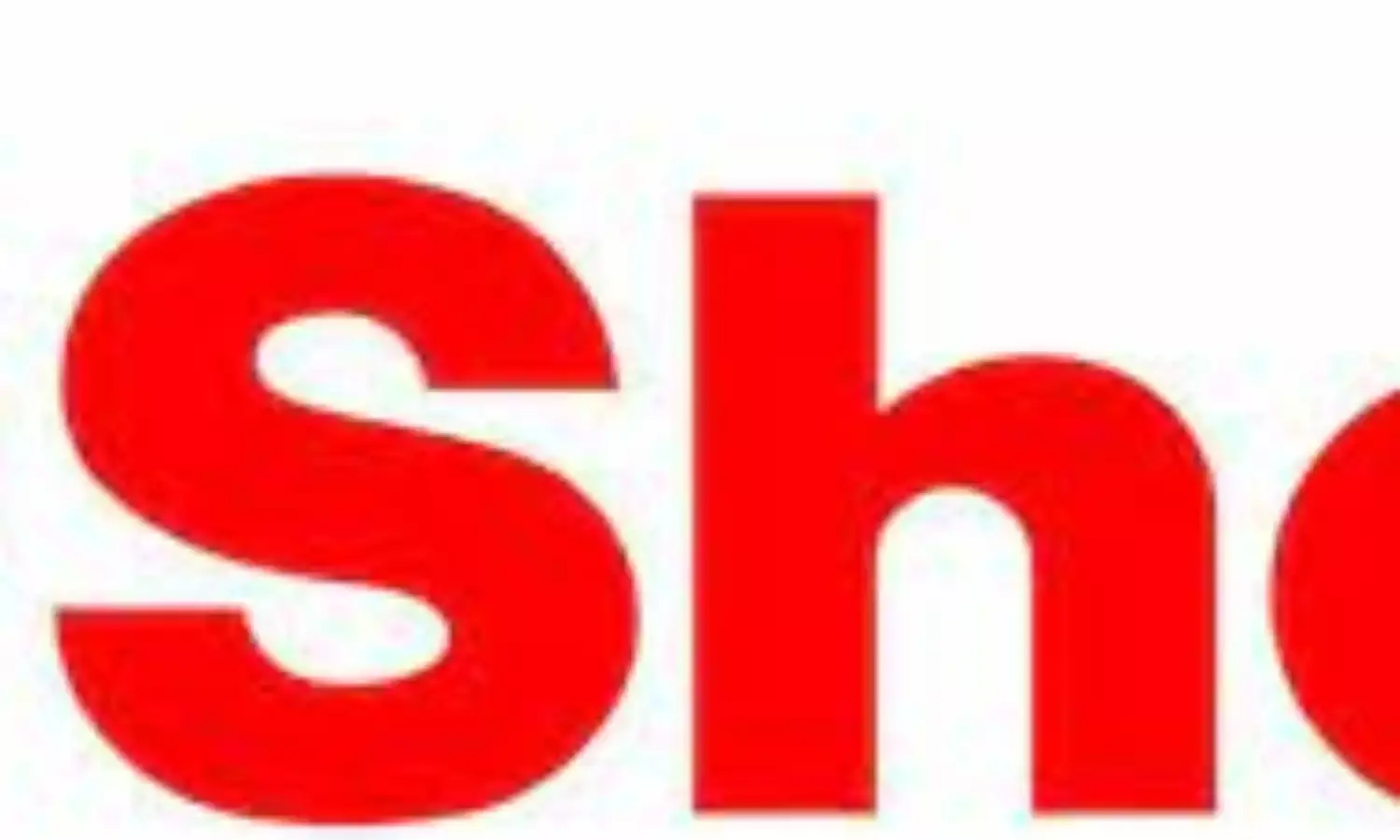 NGO demands transparency in Shell’s planned assets divestment