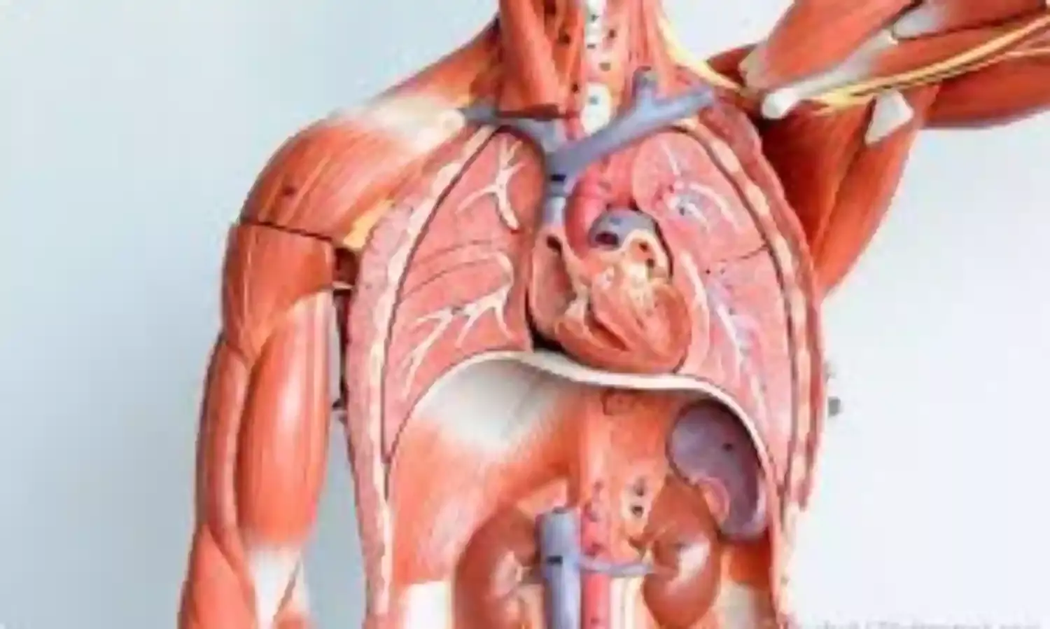 Heart Centre decries low patronage