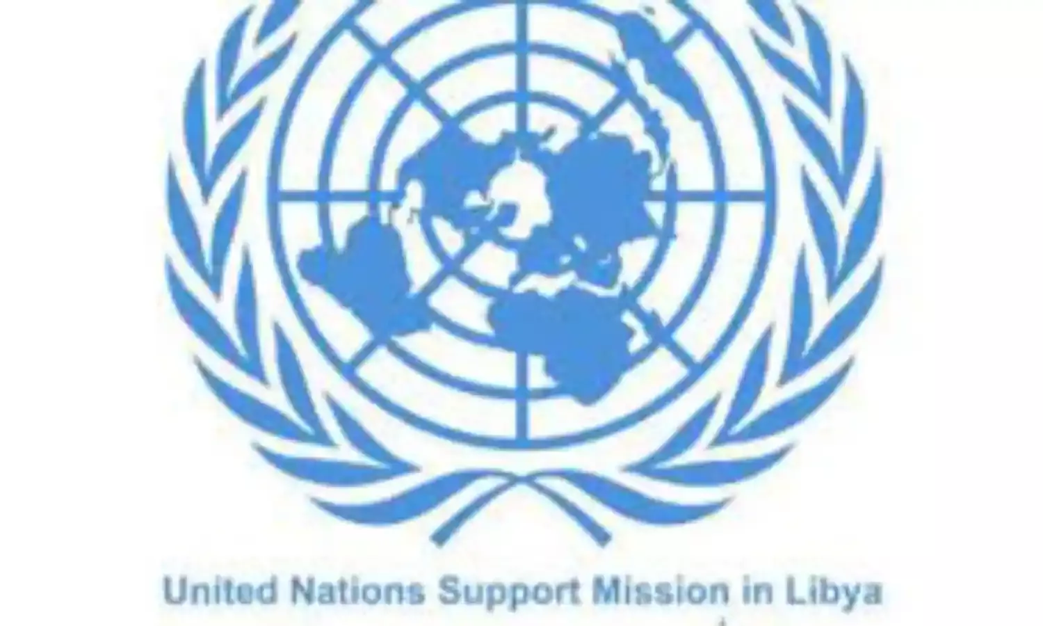 Int’l working group urges Libyan stakeholders to compromise