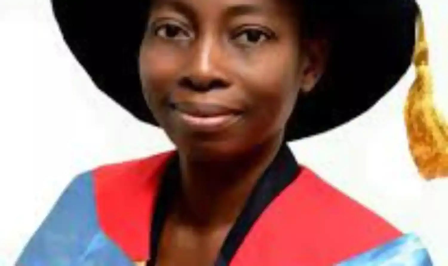 NOUN appoints 3rd Deputy VC for technology, innovation