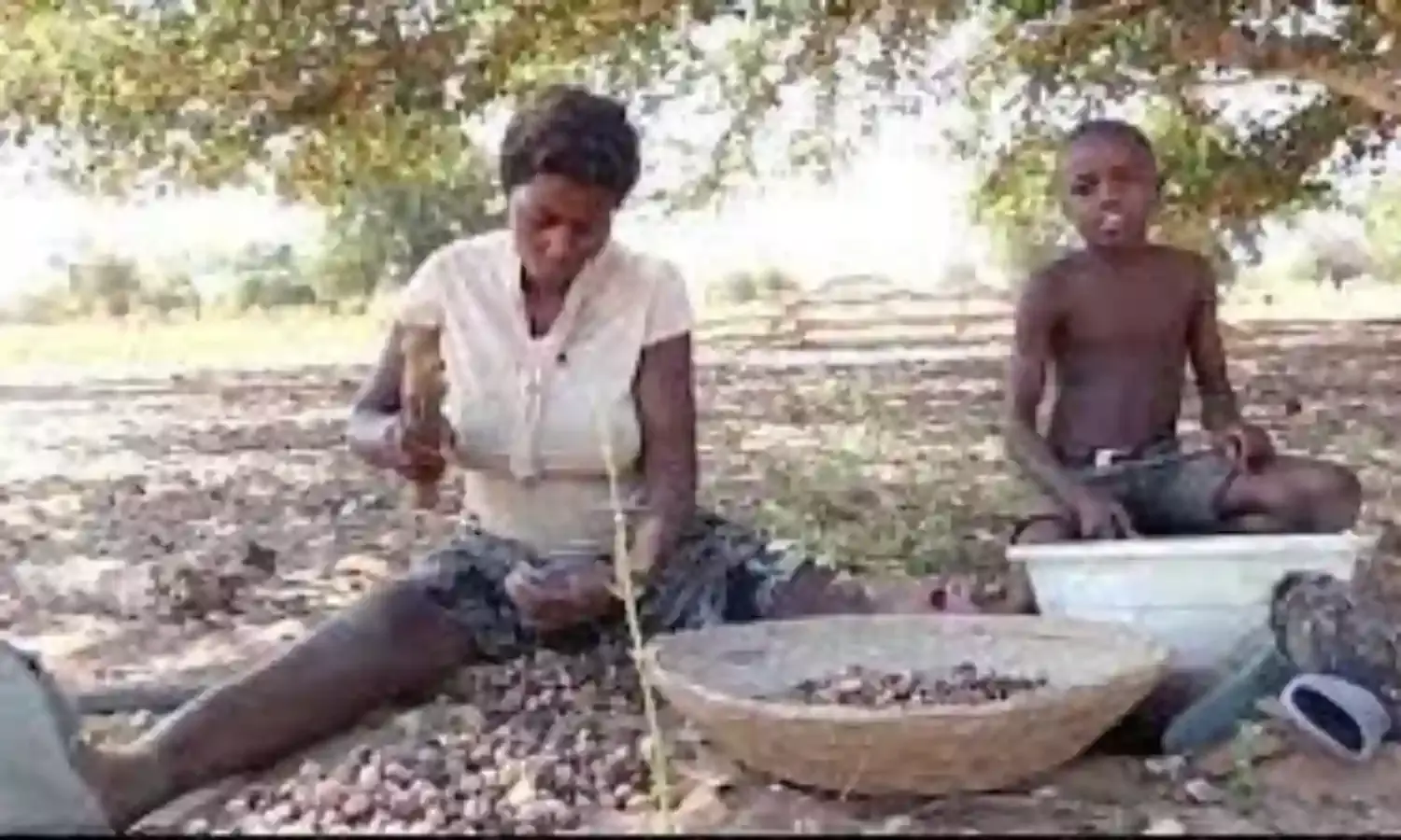 Millions in southern Angola on brink of starvation