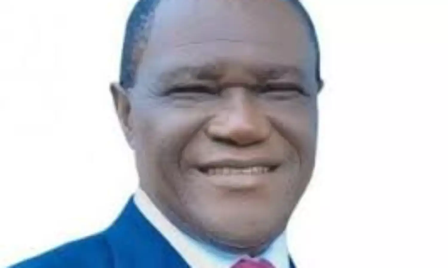 Unveil blueprint on true federalism implementation, Onochie charges FG