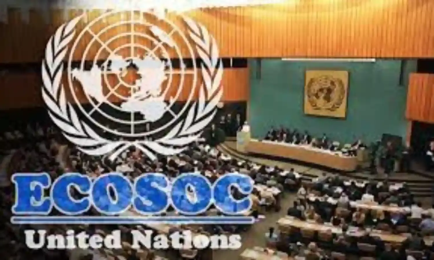 Developing countries need $4.3trn to realise SDGs –ECOSOC