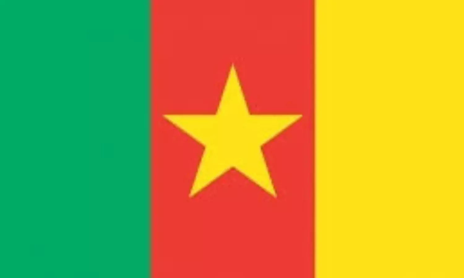 1 dies, 26 injure as building collapse in Cameroon’s commercial capital