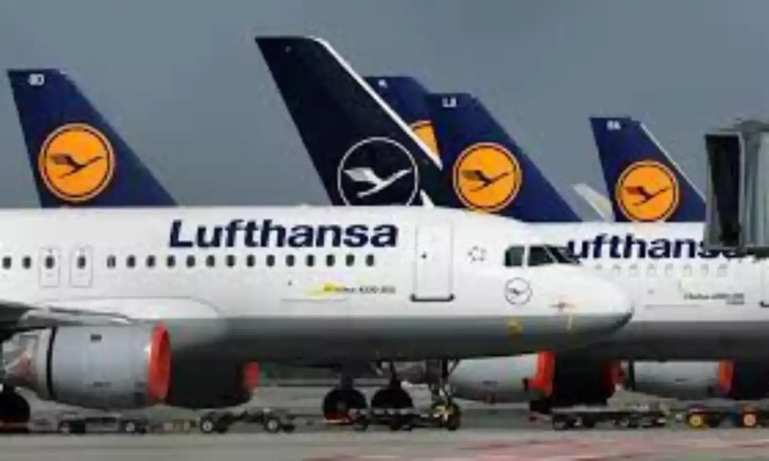 Lufthansa to introduce gender-neutral greetings
