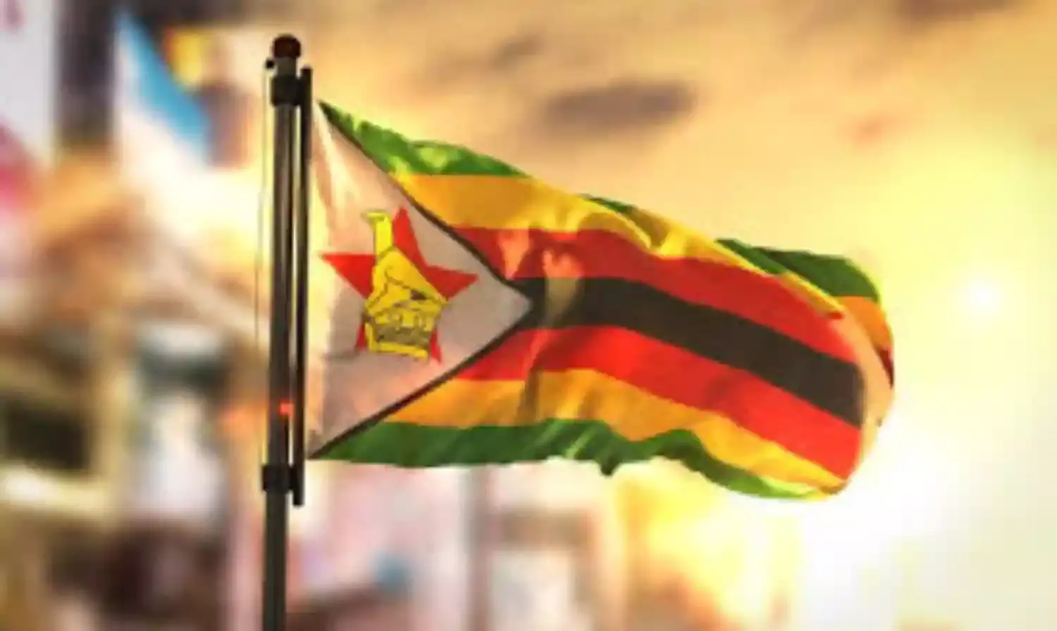 Zimbabwe announces 2-week lockdown