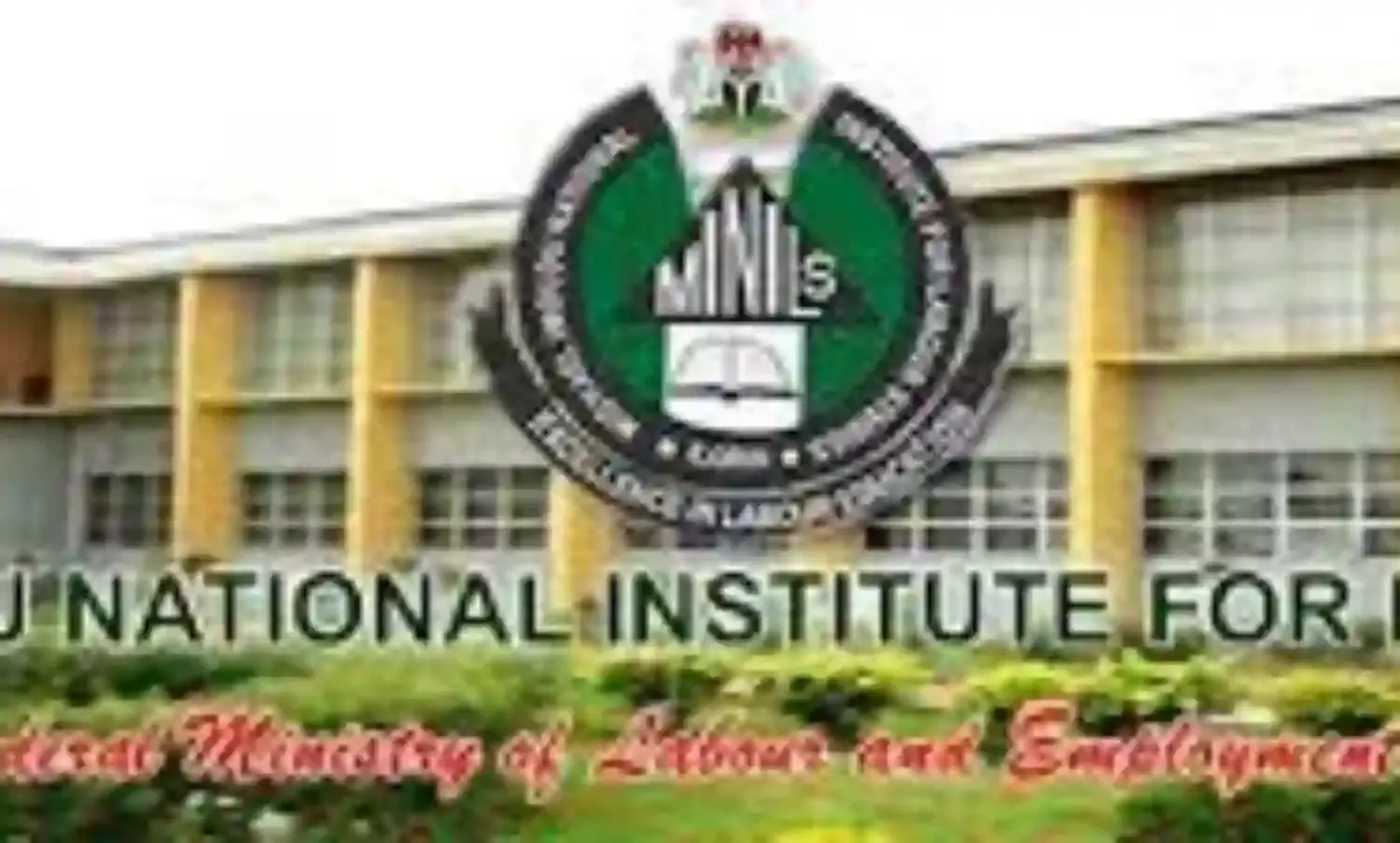 Labour institute, China to collaborate on skills acquisition training for youths –DG