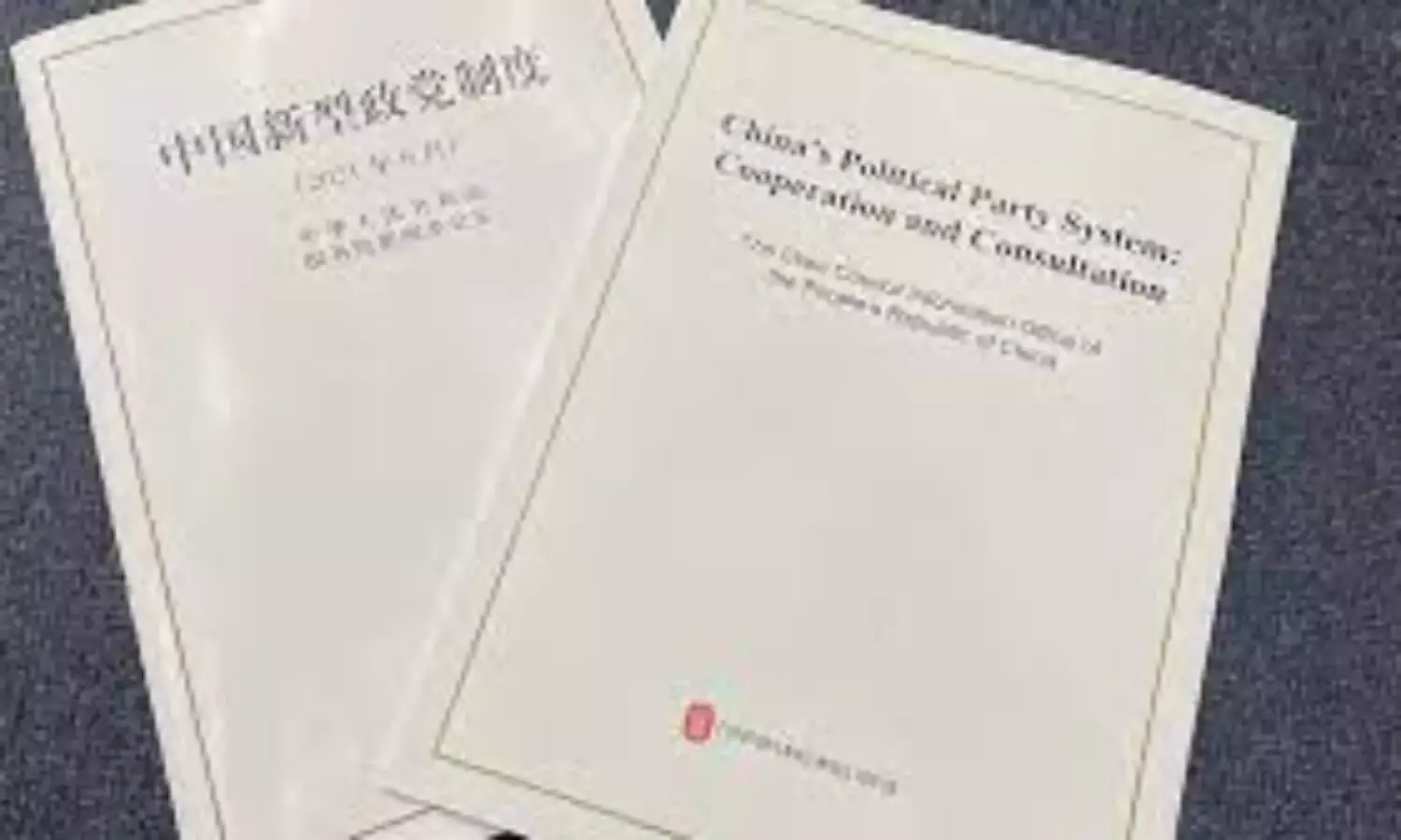 China issues white paper on its political party system