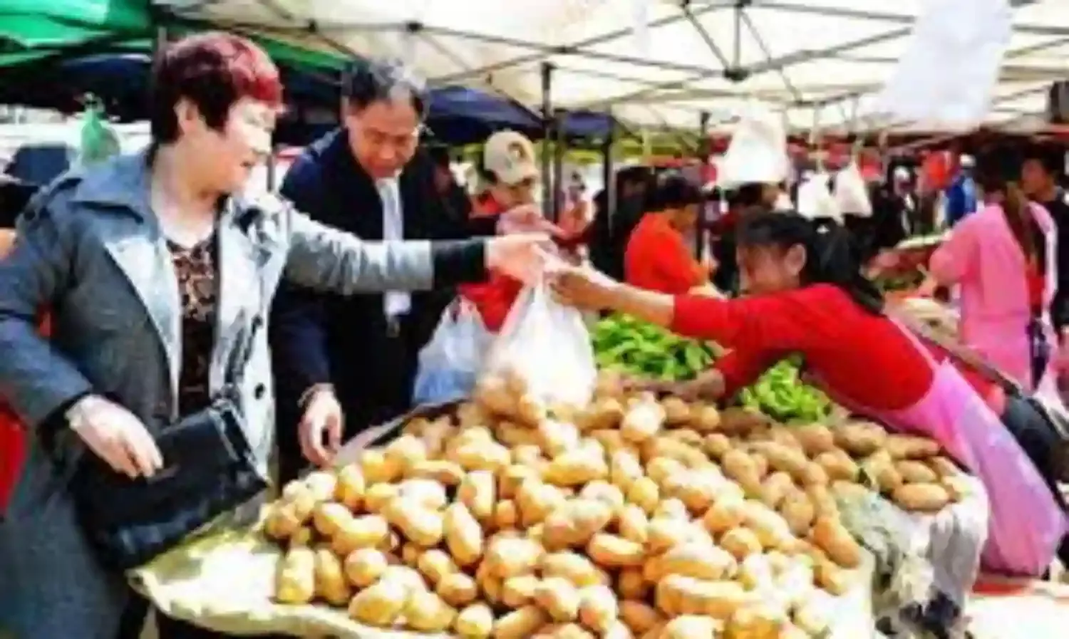 China’s weekly farm-produce prices edge down