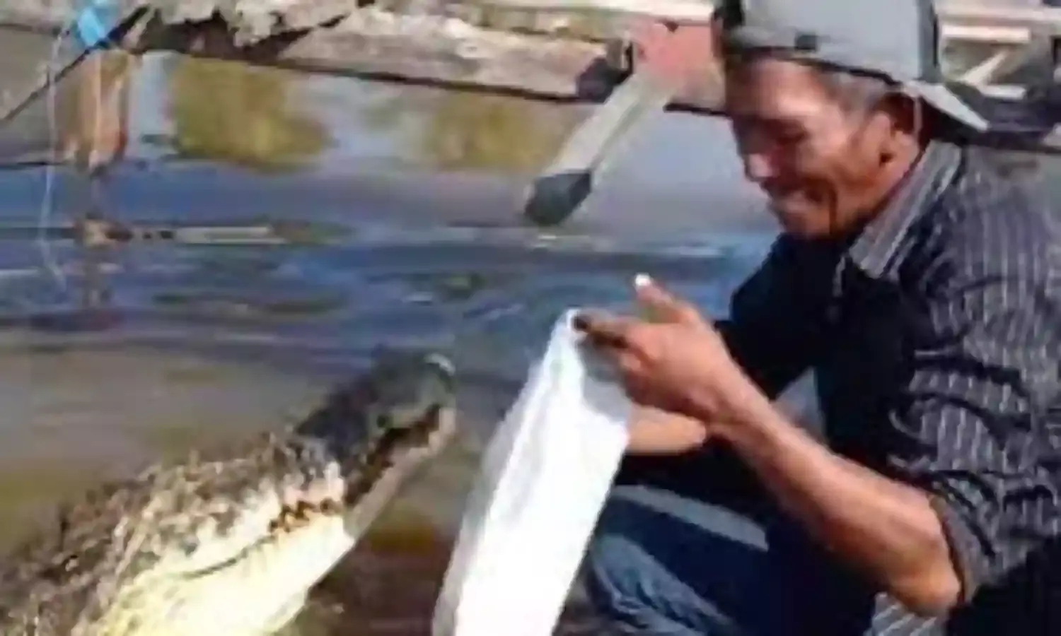 Crocodiles kill Indonesian mineworker