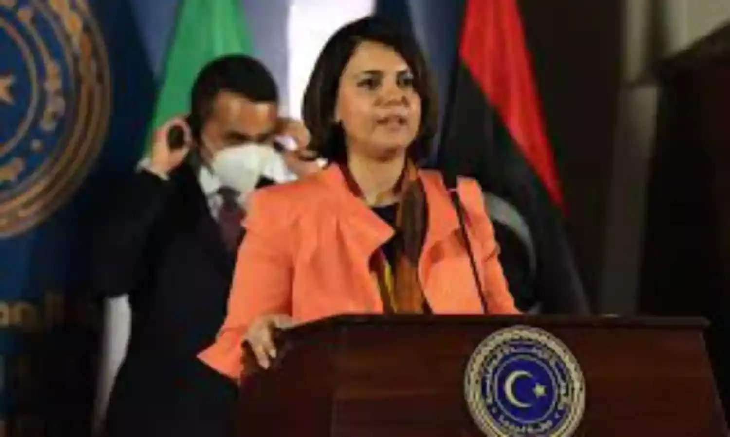 Libyan Govt. Seeks EU Support to Promote Rule of Law, Others