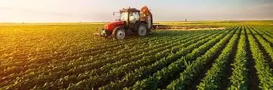 IITA project develops new potato variety to tackle malnutrition, reduce diabetes IITA project develops new potato variety to tackle malnutrition, reduce diabetes