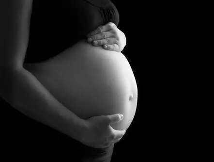 WHO GOT ME PREGNANT?