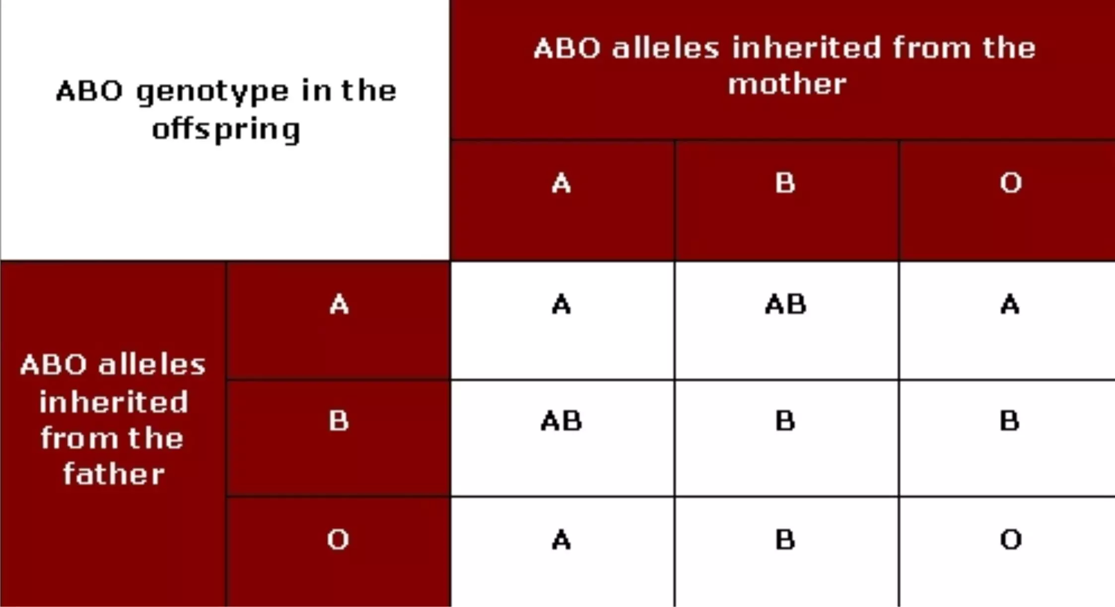 GENOTYPE BEFORE MARRIAGE: WHY IT IS IMPORTANT