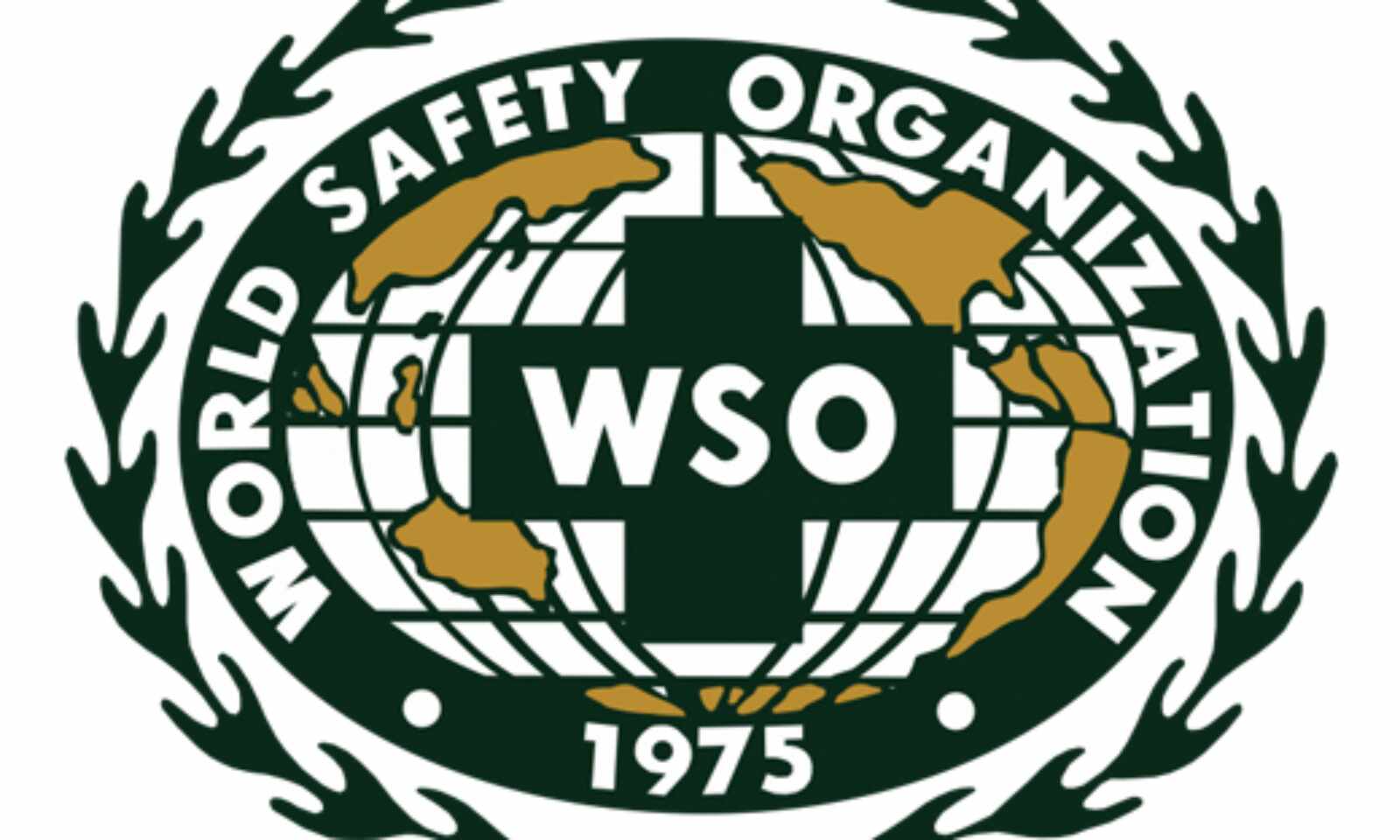 WSO health and safety